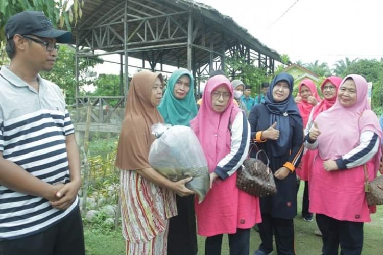 Ketua TP PKK Kabupaten Asahan Serahkan Benih dan Pakan Ikan ke Warganya