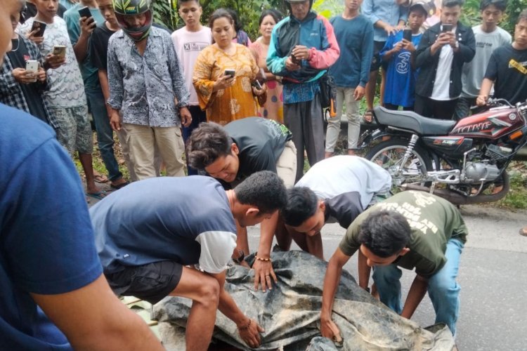 Akibat Rem Blong, Sebuah Bus Tabrak Pesepeda Motor Hingga Tewas