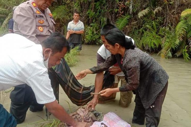 Rangka Manusia Ditemukan di Siporkas, Diindentifikasi Romina Br Sinaga yang Hilang