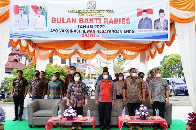 Cegah Kasus Rabies di Karo, Bupati Instruksikan Vaksinasi Hewan Massal