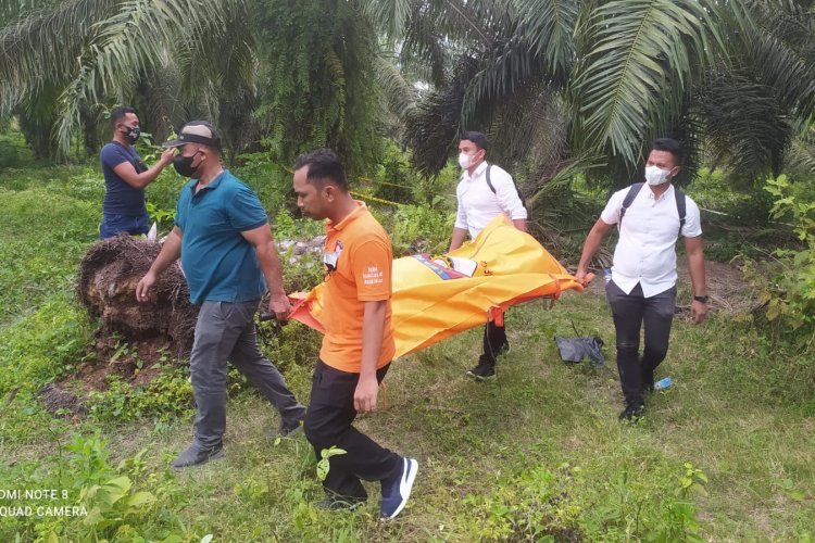 Penemuan Mayat Dengan Kondisi Membusuk Hebohkan Warga Pegajahan