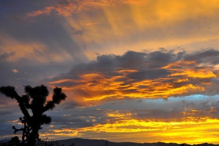 Cek 5 Lokasi Lihat Sunset di Medan