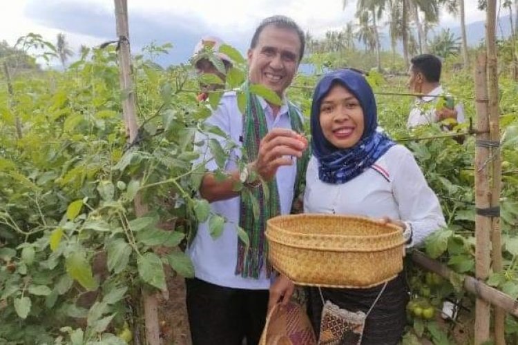 2.809 Tenaga Non ASN Lulus Verifikasi Penginputan Kemenpan