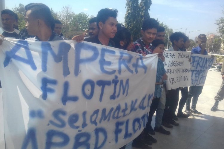 Doris Rihi Diminta Benahi Tata Kelola Obat Pasien BPJS Kesehatan di RSUD Larantuka