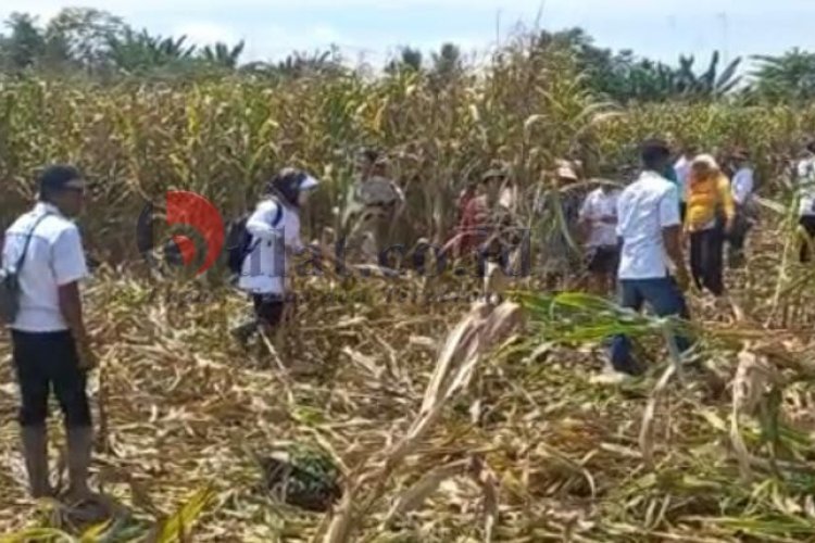 SPBUN PTPN IV Medan Rusak Tanaman Warga