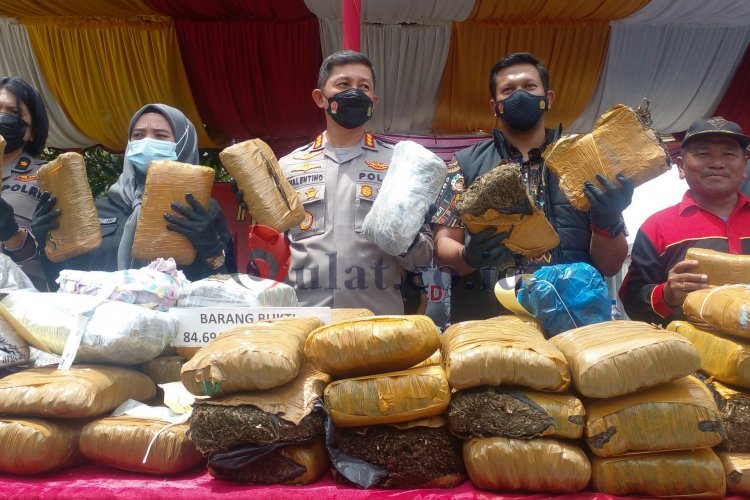 Musnahan 84,6 Kg Ganja, Polrestabes Medan Rincikan Kasusnya