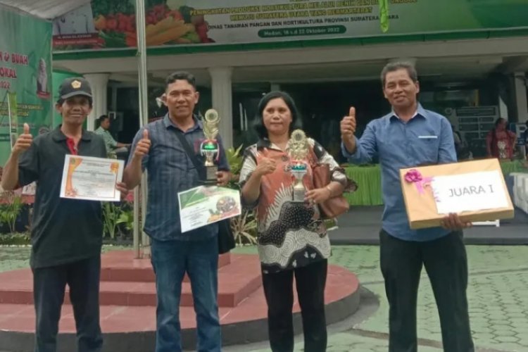 Poktan Ora et Labora Asal Simalungun Juara 1 Penangkar Bawang Merah Tingkat Sumut