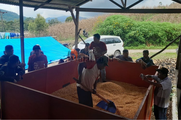 Dikeluhkan Tidak Berfungsi, Mesin Bed Dryer Langsung Dicoba Mengeringkan Jagung oleh Teknisi