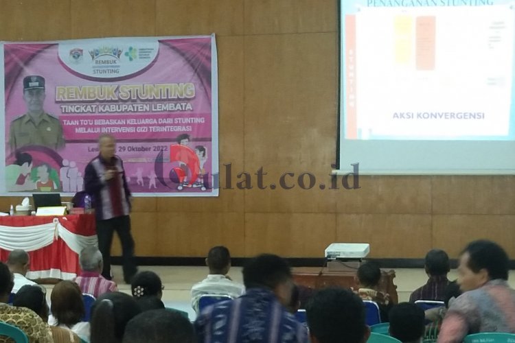 Kecamatan Nubatukan Penyumbang Terbanyak Balita Penderita Stunting di Lembata
