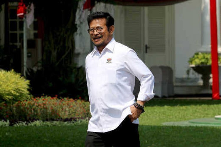 Mentan Pastikan Stok Beras Aman, Hanya Mahal Sedikit