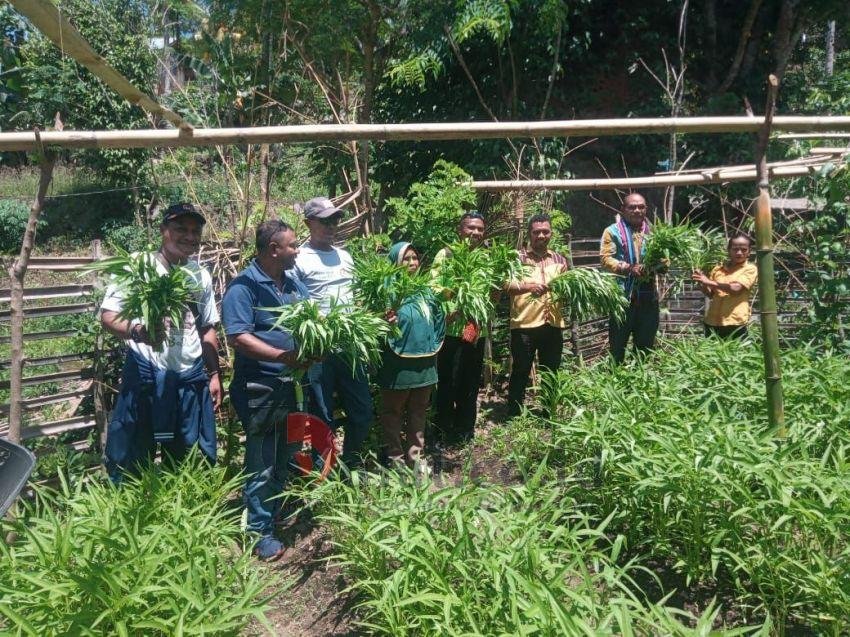 Panen Perdana Program P2L di Lembata, Fokus Pengentasan Stunting