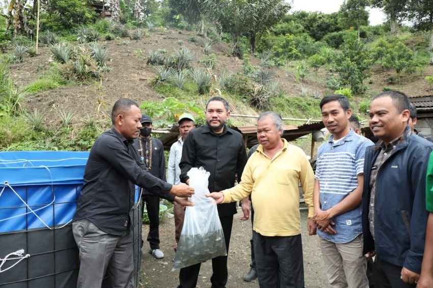 Panen Bawang Merah dan Bagikan Benih Ikan, Bupati: Kembangkan Potensi di Pakpak Bharat