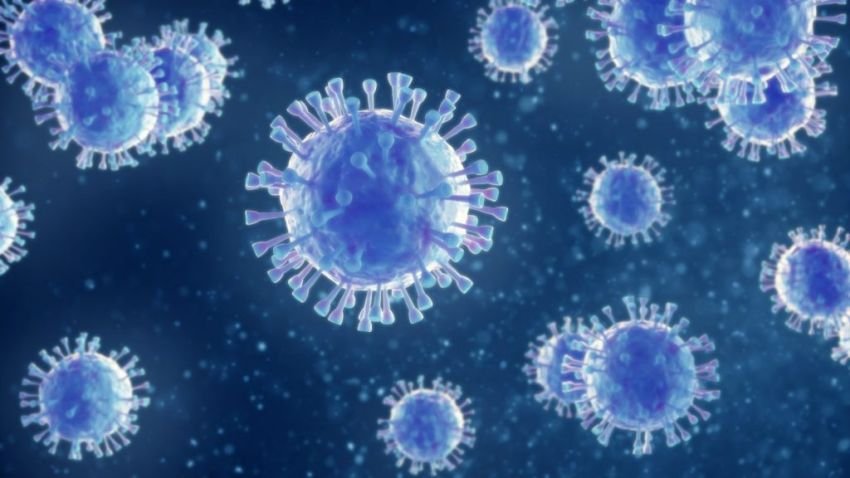 Virus Babi yang Tersebar di NTT Kemungkinan Bisa Menular ke Manusia