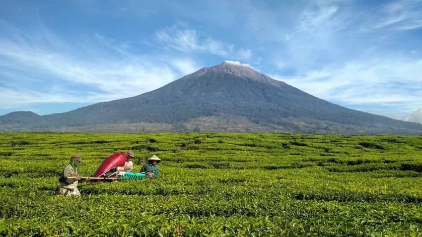 Gunung Kerinci Semburkan Abu Vulkanis 600 Meter
