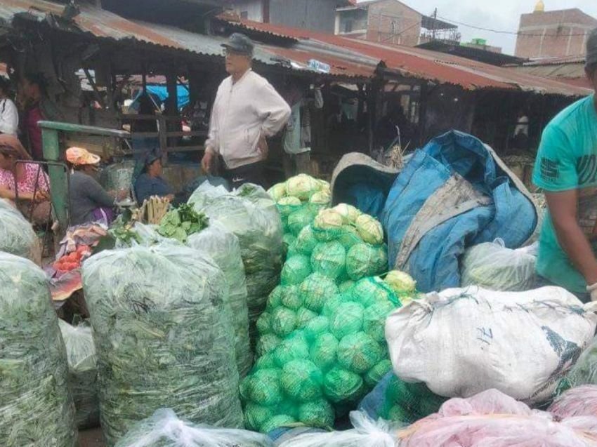 Harga Sayur Mayur di Karo Terus Alami Penurunan