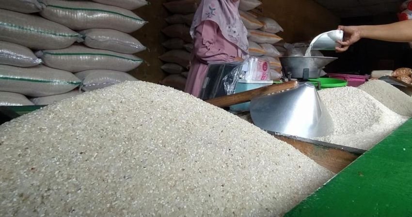 Wamentan Buka Suara Terkait Impor Beras 500 Ton