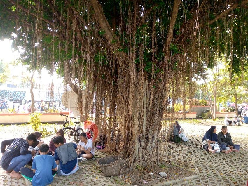 Beringin Tua di Alun-alun Kota Pemalang Jadi Tempat Berteduh Pengunjung