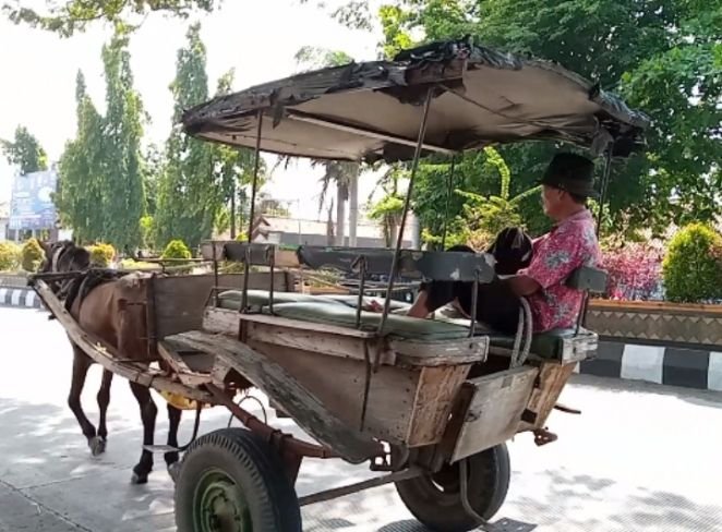 Delman di Pemalang Terpinggirkan Perkembangan Zaman