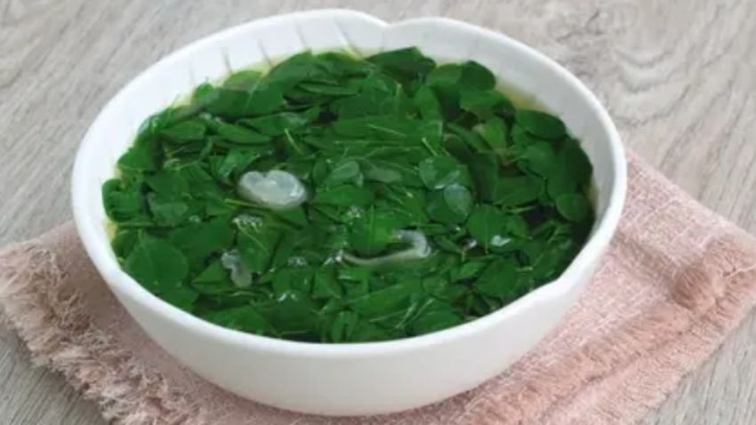 Resep Sayur Daun Kelor Peluruh Asam Urat