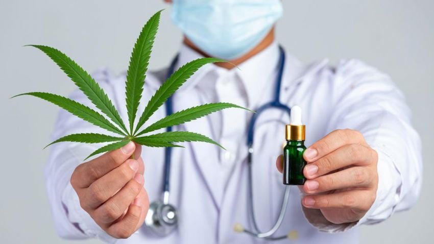 Maroko Resmikan Laboratorium Ganja Pertamanya Untuk Kegunaan Medis