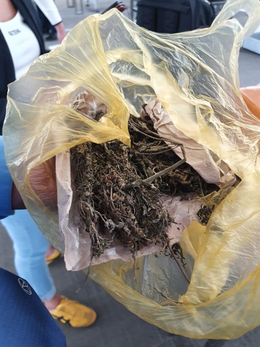 Bawa Ganja, Dua Penumpang Pesawat Tujuan Batam Diamankan Avsec Kualanamu