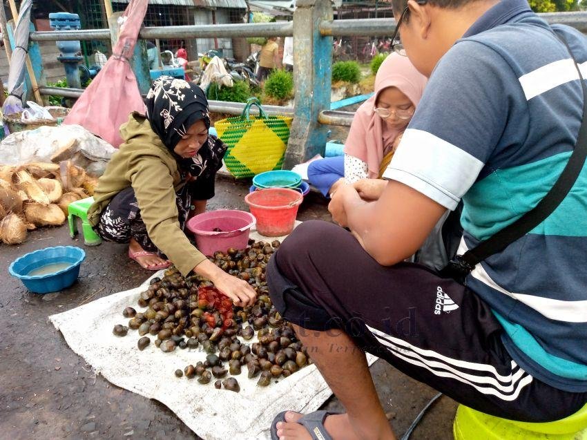 Keong Organik Banyak Diburu Pedagang Makanan Tradisional di Pemalang