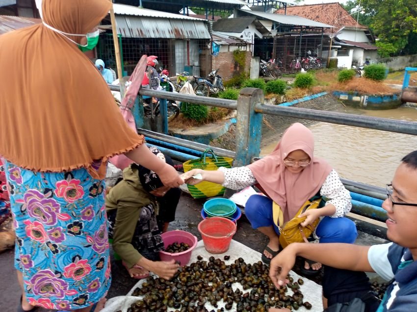 Kharisma Nuzwarudin, Generasi ke-4 Penjual Keong Organik di Pemalang