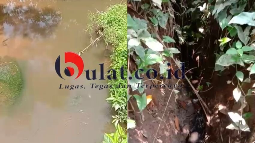 PT. LTS Diduga Buang Limbah ke Sungai