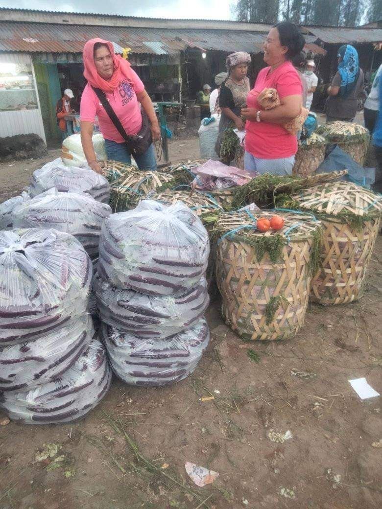 Sayur Mayur Asal Karo Masih Harga Stabil