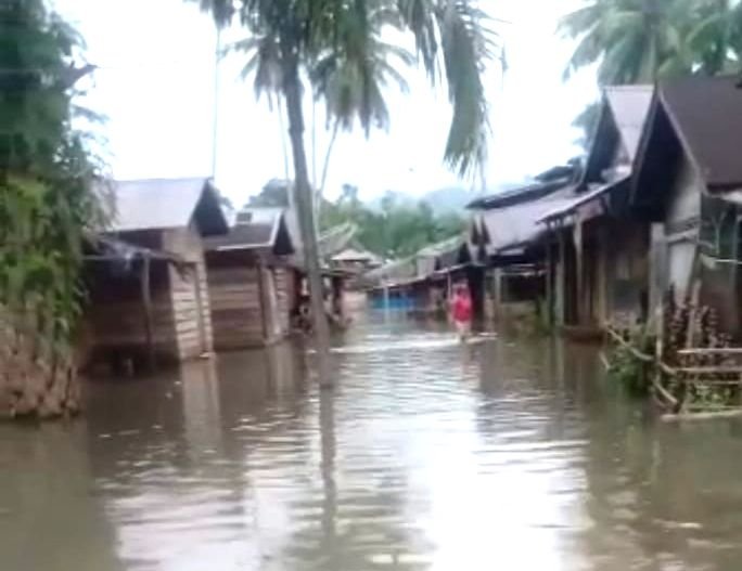 Ratusan Rumah Terendam Banjir di Rianiate Tapsel