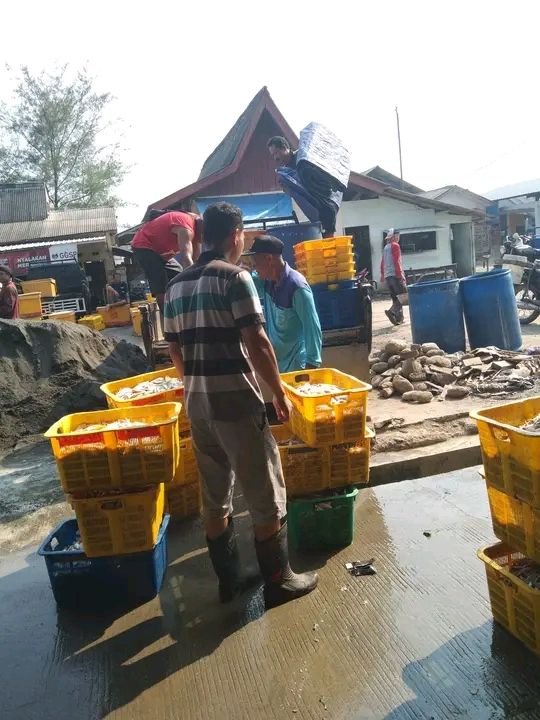 Pelelangan Ikan Asemdoyong Jadi Buruan Pedagang