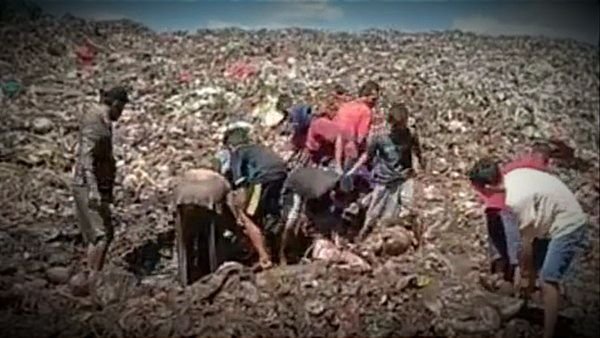 Fakta Warga di Bengkalis Gali Daging Impor Ilegal yang Dimusnahkan Bea Cukai