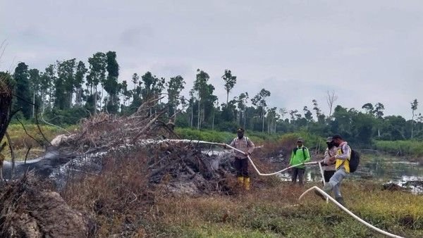 Tujuh Pembakar Lahan Hutan di Riau Ditangkap Polisi