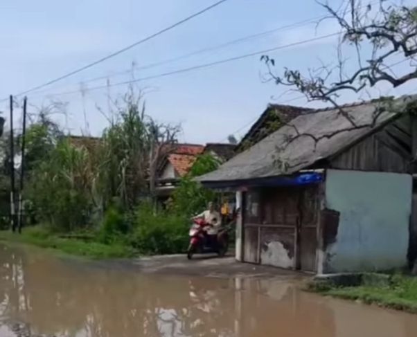 Akibat Hujan dan Rob, Sebagian Wilayah di Desa Blendung Tergenang Air