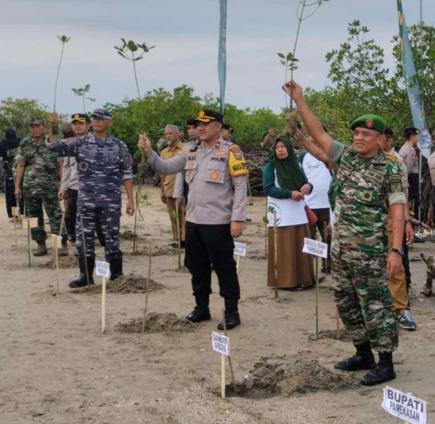 Dandim 0826 Pamekasan Tanam Ribuan Pohon Mangrove di Pesisir Pantai