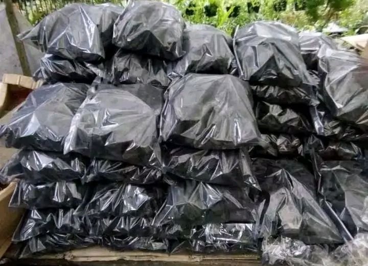Pengrajin Arang Organik Di Pemalang Kebanjiran Pesanan