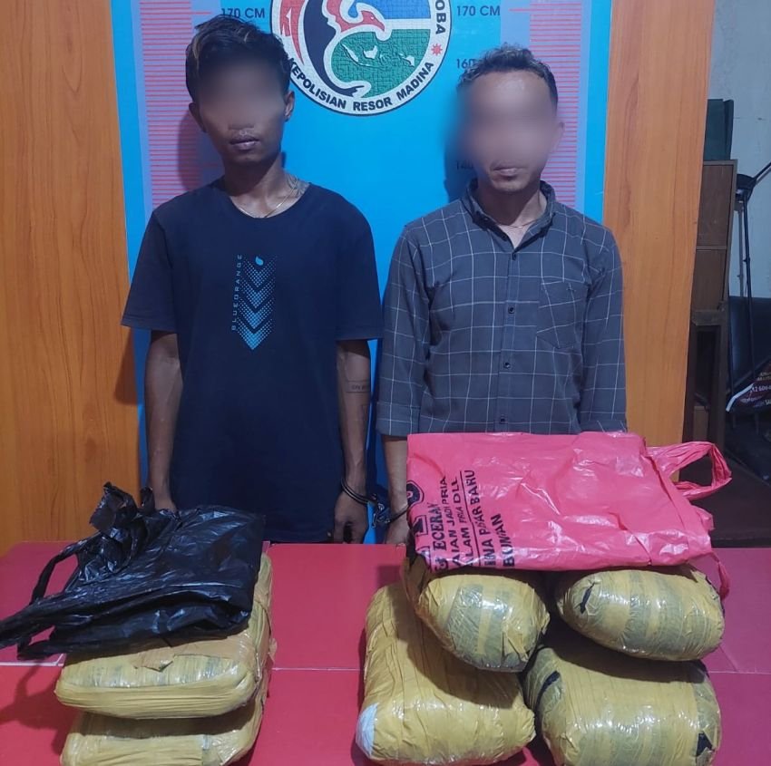 Bawa Ganja 5,2 Kilogram, Dua Pria Asal Sumbar Diamankan Polres Madina
