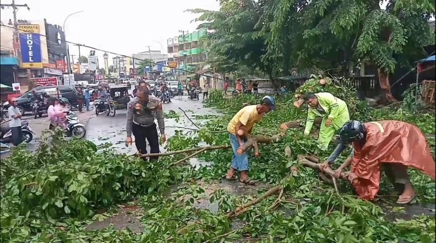Pohon Tumbang Timpa Mobil Pickup dan Tiga Sepeda Motor