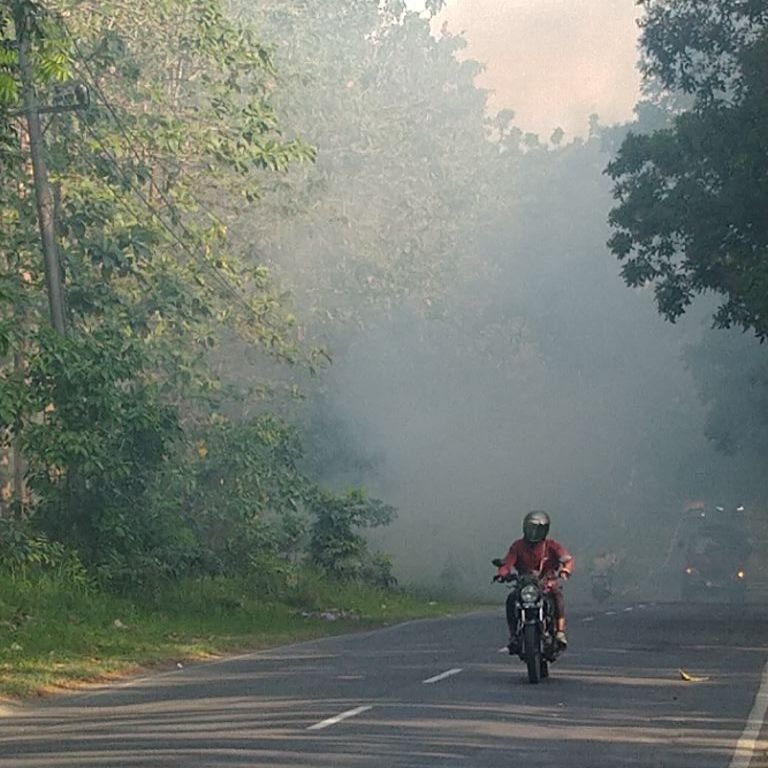 Musim Kemarau, Hutan Jati di Pemalang Terbakar