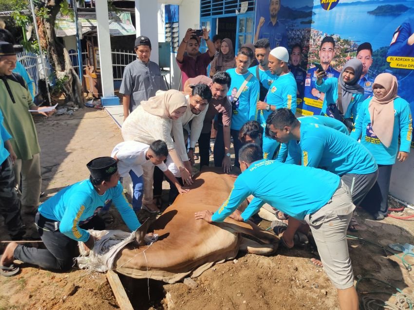 Ketua KNPI Sibolga Sembelih Satu Ekor Hewan Kurban
