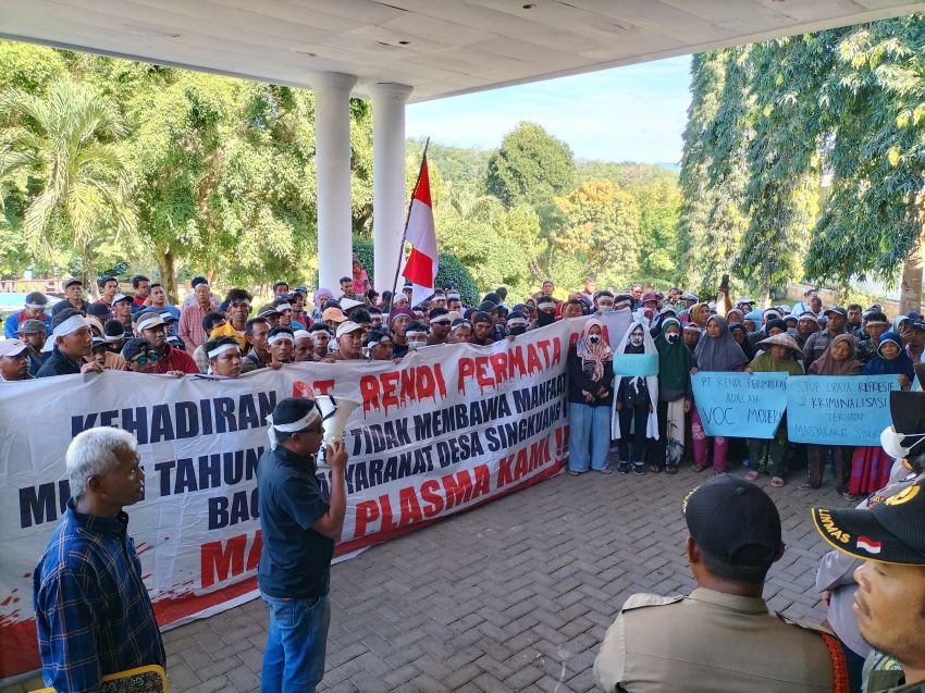 Tuntut Hak Plasma, Ratusan Masyarakat Singkuang I Datangi DPRD Madina