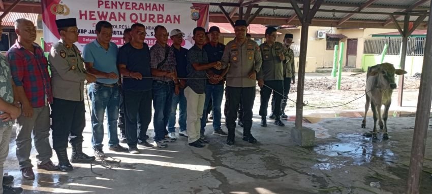 Polres Labuhanbatu Serahkan 2 Sapi Kurban Kepada Al Uois Dan Wartawan
