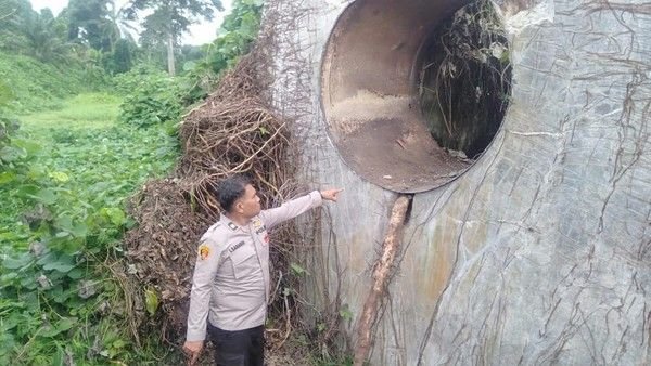 Tiga Pria di Simalungun Tertangkap Basah Curi Pipa Besi PTPN IV