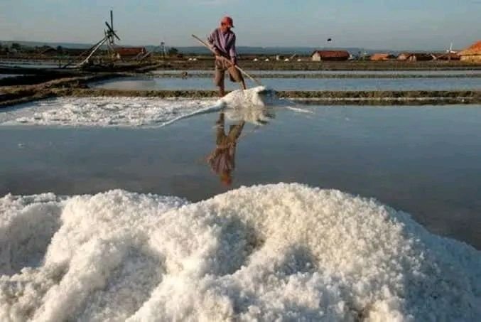 Produksi Garam di Madura Meningkat, Harga Diperkirakan Alami Kenaikan