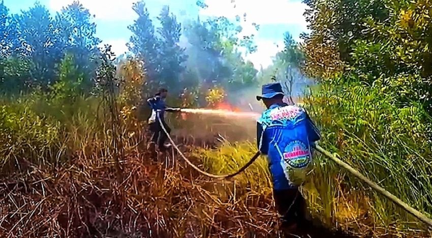 Cuaca Panas Ekstrem, Intensitas Kebakaran Lahan di Palangka Raya Terus Meningkat