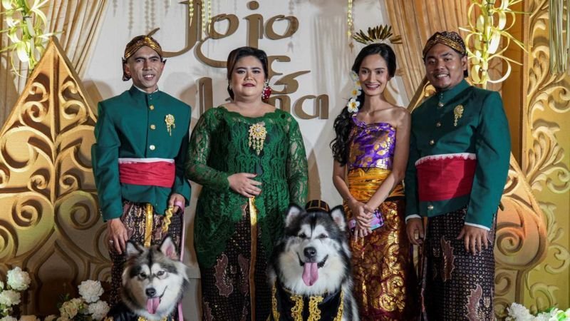 Polemik Pernikahan Anjing, Dinilai Lecehkan Adat Hingga Sampaikan Maaf