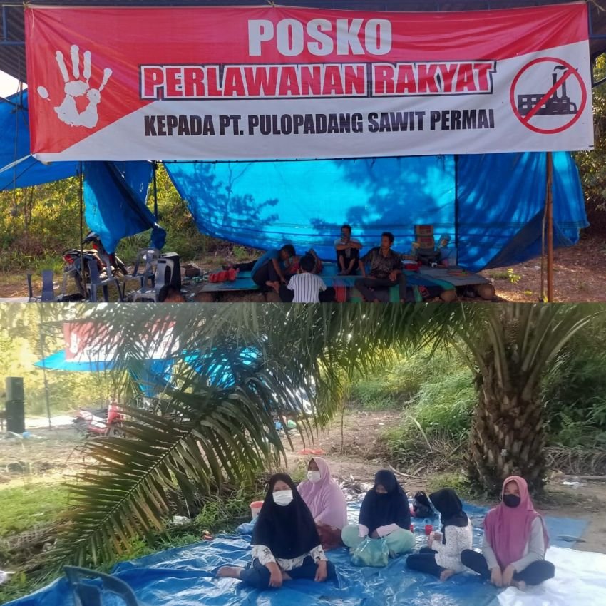 Pasca Viral Menghadang Truk Bermuatan Berondolan, Ini yang Dilakukan Sekelompok Emak - emak Pulo Padang