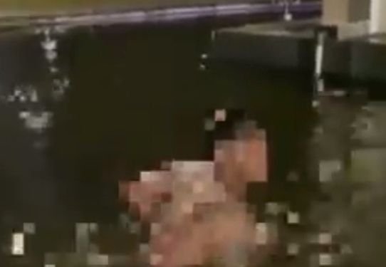 Pria Berenang Tanpa Busana di Kolam Alun - Alun Pekalongan Diperiksa Polisi