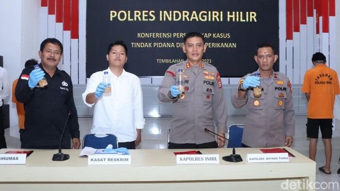 Penyelundupan 70 Ribu Baby Lobster Senilai Rp 14 Miliar Digagalkan Polisi