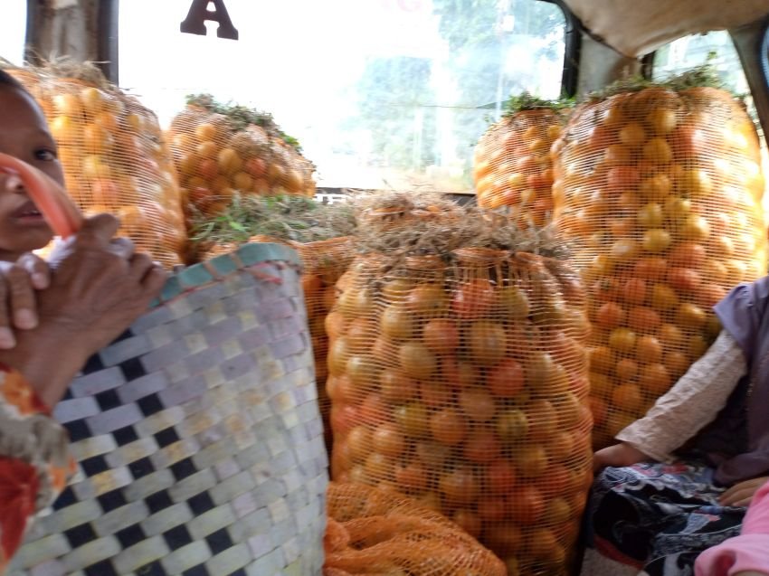 Harga Tomat Terjun Bebas, Petani di Pemalang Menjerit